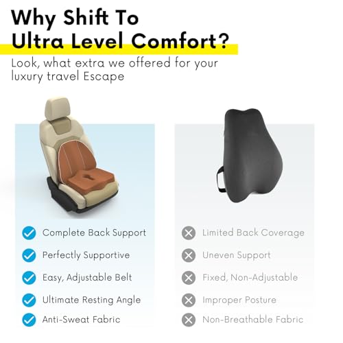 Image of Pillow Kit Memory Foam Back Support and Siting Cushion Ergonomic Adjust Sitting Position Relief Pain for Car or Office Chair. (Majestic tan, Spine Support)