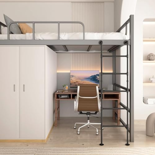 bunk ladders