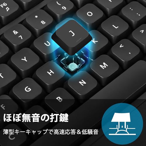 HUO JI ワイヤレス キーボード マウスセット 2.4G 静音 薄型 メンブレン フルサイズ 英語配列 リストレスト付き ワイヤレスマウス DPI調整可 USBレシーバー 電池式 Windows/Mac対応 (ブラック)