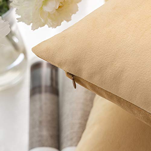 Phantoscope Pack of 2 Velvet Decorative Throw Pillow Covers Soft Solid Square Cushion Case for Couch Khaki 18 x 18 inches 45 x 45 cm