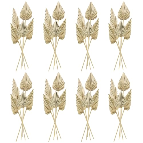Cenkaiyang 40 Pcs Boho Dried Palm Spears Leaves