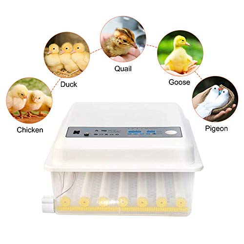 4YANG Egg Incubator, 36 Eggs Automatic Incubator, Chicken and Duck Bird Incubator Automatic Egg Temperature Controllable, Smart Home with Digital LED Display