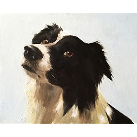 Border Collie Card, Greeting Card with Painting of a Sheepdog by James Coates, A5 size, Blank Inside, Multicolour, (5065003350786) Cover