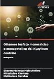 Ottenere fosfato monocalcico e monapotalico dal Kyzylkum centrale: Monografia