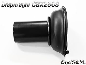 はま Amazon | ワンズアンドエム(OneS&M) B8-31 CBX250S MC12 用
