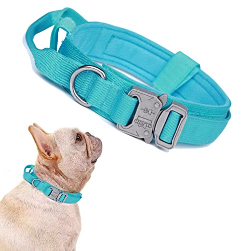 Image of Tactical Military Dog Collar - Adjustable Nylon, Heavy Duty Metal Buckle With Handle for Training (Blue, S)