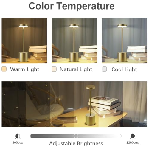 Lampe de table sans fil rechargeable LED Hapfish en métal