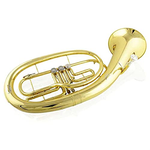 SHUNTIAN X[tbgL[ei[z[fBOz[A^my평S҃[tHjA