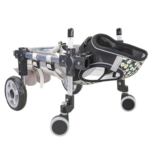 Fauteuil roulant pour chien à assistance complète : offrez-lui une seconde vie active