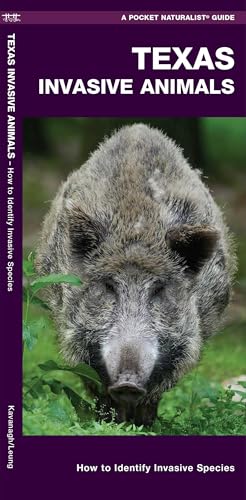 Texas Invasive Animals: How to Identify Invasive Species (Wildlife and Nature Identification)