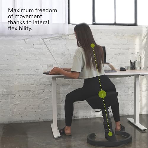 Image of aeris Swopper - Ergonomic Stool - Height-Adjustable Office Stool - Versatile seat for a Healthy Back - Office Chair Without casters, Standard Spring