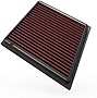 K&N Engine Air Filter: Reusable, Clean Every 75,000 Miles, Washable, Replacement Car Air Filter: Compatible 2008-2019 Ford (Fiesta, Figo, KA Plus, B-Max, EcoSport, Tourneo Courier, Transit), 33-2955