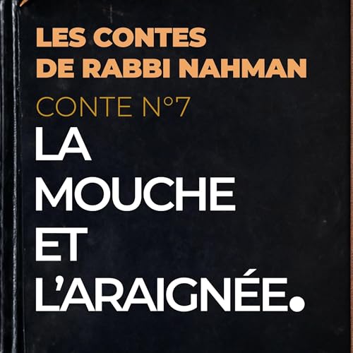 Conte N°7 : La Mouche et l'Araignée