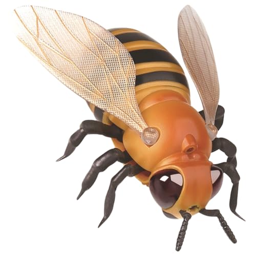 C^NV N[LǐՂᎩmZpQybgGQ[WgdCQL