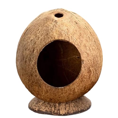 Hamster | 13,5 x 11,9 cm Hamsterkäfig | kaufeste Höhle mit Anti-Kipp-Boden | Lebensraum Anreicherung...