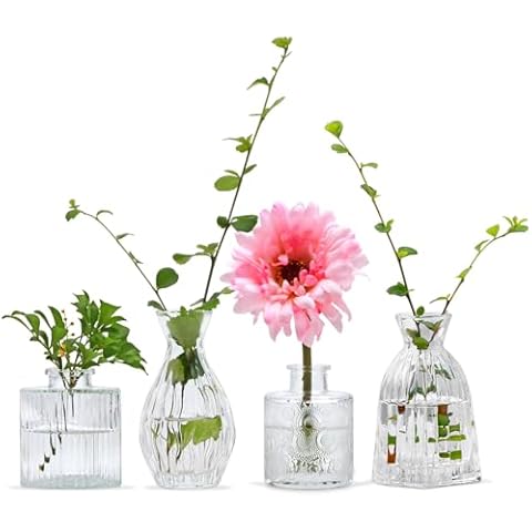 Mapoxy Glass Bud Vases Set of 4 Cover