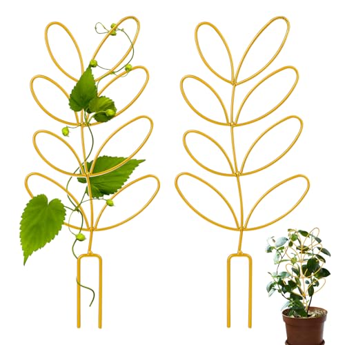 Potted Plant Trellis
