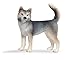 Produktbild Schleich - 16372 Husky Hündin