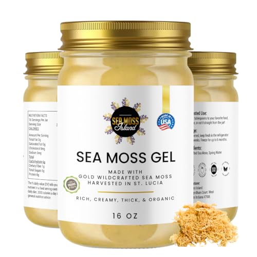 Sea Moss Island Organic Gel - Wildcrafted Irish Raw moss Gel Nutritious Vegan Supplement - Superfood Rich in Vitamins Minerals & Protein - Harvested in St Lucia (Original Gold 16oz)