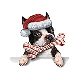 Wzxhew Weihnachts-Wandaufkleber, Hundeknochen, Weihnachtsmütze, Türaufkleber, Kühlschrank, Haustierladen, Dekoration, Aufkleber für Erwachsene, Rot, Einheitsgröße