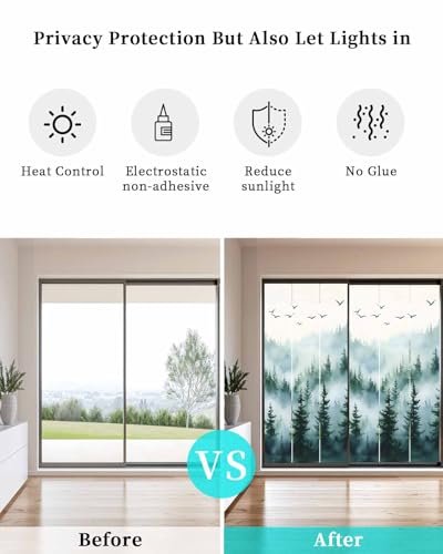 Película Decorativa para Ventanas de Vidrio 17.7"x39.3" miniatura 5