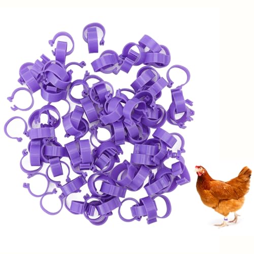 100 PCS Anel De Pé De Frango Marcação De Classificação Roxo Anéis De Pé De Aves Faixas De Perna De F