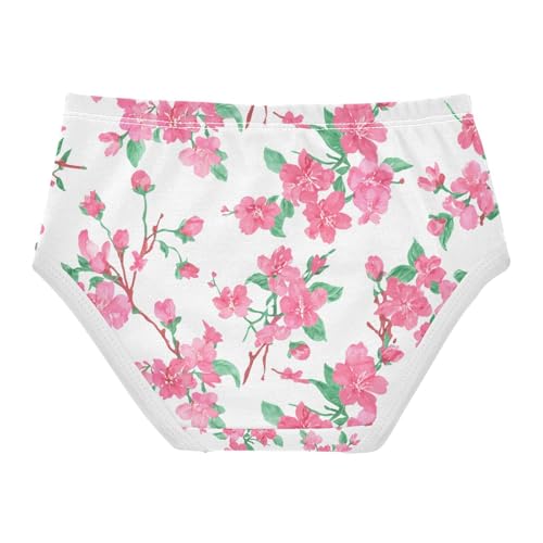 Floral Pink Blossoms Toddler Girls's Underwear 2T 202c11412