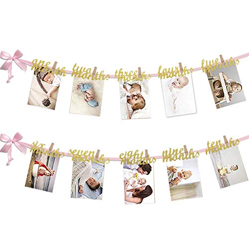 VGOODALL 1st Birthday Baby Photo Banner for Girls, Pink First Birthday Photograph Banner from Newborn to 12 Months Baby Monthly Milestone Bunting Garland Cute Decoration for Baby Shower Celebration