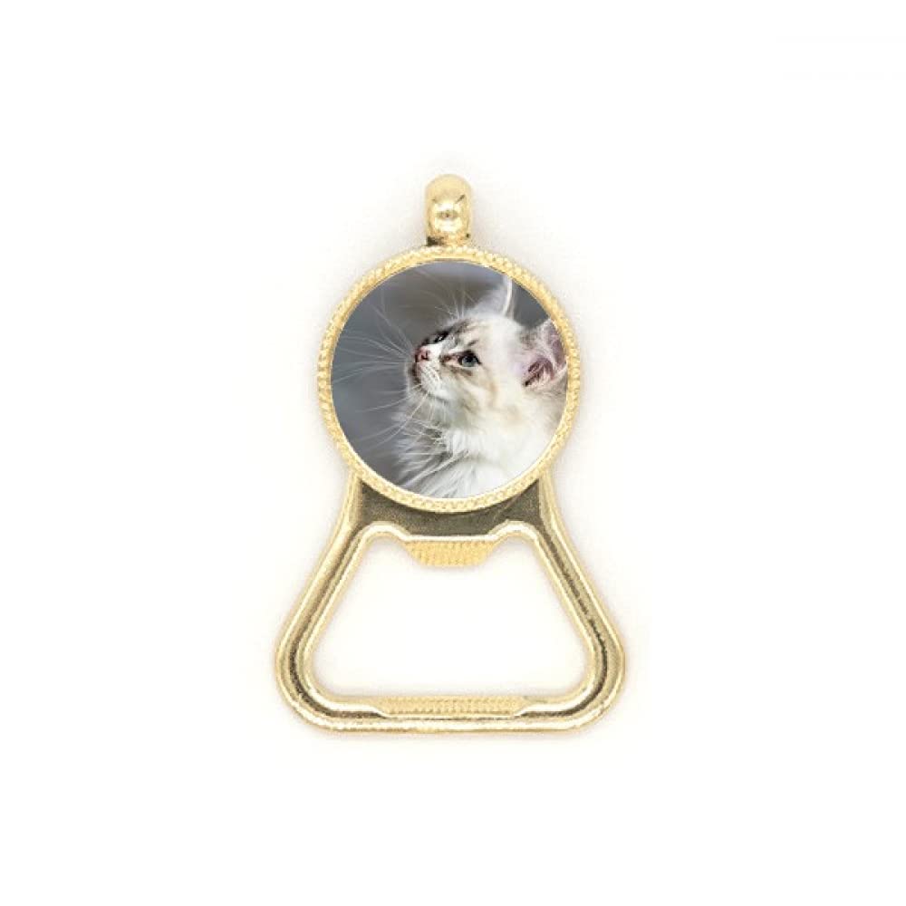 Décapsuleur chat porte-clés inox mignon : ouvrez vos bouteilles facilement au quotidien