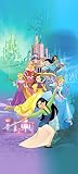 1art1 Disney Prinzessin Princess Vlies Wand-Foto-Poster-Tapete | Moderne Dekoration Wand-Deko Wohnzimmer Schlafzimmer Büro Flur 202x90 cm
