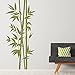 DESIGNSCAPE® Wandtattoo XXL-Bambus | Wandtattoo Pflanze Bamboo | Farbe: lindgrün | Größe: klein (52 x 120 cm)