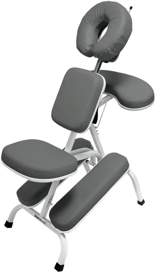 Kit Cadeira Quick Shiatsu Massage Legno Dobrável Shiatsu Bolsa Transporte (Cinza)