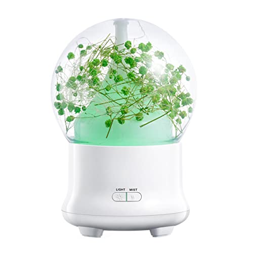 Difusor aromático eléctrico con flores preservadas y luz nocturna
