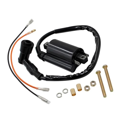 Bobina de encendido para Kawasaki Bayou 300 KLF300 (1986-2004) y motos de cross 2
