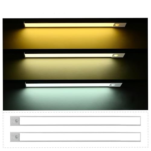 Lb`Cg 20cm 1500mAh LED lZT[ Type-C[d  o[Cg iK Lrlbg Hsv ȃGl N[[bg/Lb`/L/Qp ȒPt xZT[ 2