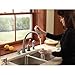 Delta Faucet Pilar Kitchen Soap Dispenser for Kitchen Sinks, Chrome RP50781