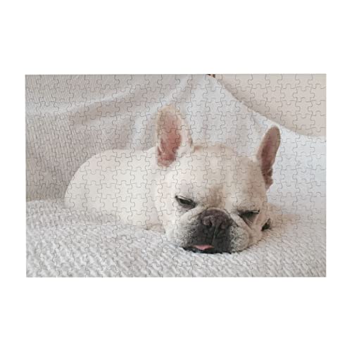 300s[X WO\[pY  t`uhbO pY ؐ Puzzle  m猸  Ǐ Ǌ|  Jigsaw [P[Xt CeA [pY q ]`W av[g