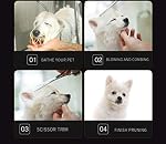 Pet Dog Grooming Scissors Professional Hair Grooming Scissors Curved Shears Kit Thinning Trimmer Comb Hair Cutting Tool 6 Pieces Set (Multicolour)