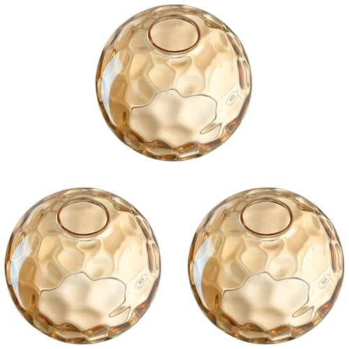 6.25C` peNX`[ Ao[KXvVF[hƖ pǎtpCy_gCg V[OCg VfAVF[hAt@Ng[AEgbg