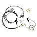Rywire Adapter Wiring Harness Compatible with 1999-2000 Honda Civic (EK) K-Series