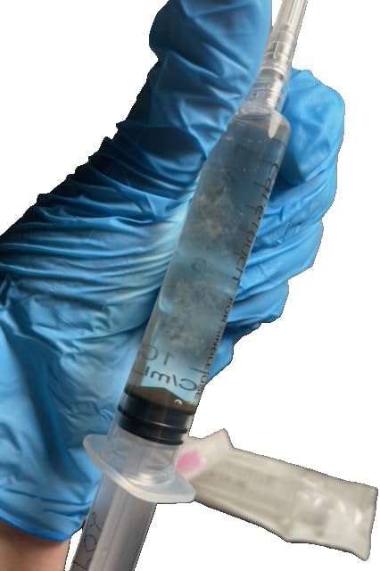 Miniatura 4 de Cordyceps micelio de hongos - (Cordyceps militaris) (0.3 fl oz de cultivo líquido)