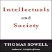 Intellectuals and Society