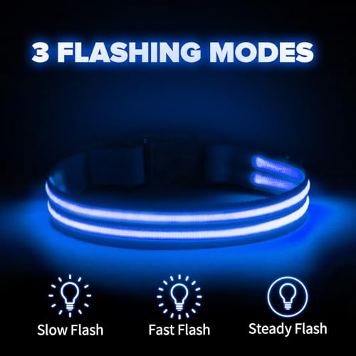 Feycig Leuchthalsband Hund USB Aufladbar - LED Hundehalsband Leuchtend Wasserdicht Leuchtendes Hunde Halsband Einstellbare für Kleine Mittlere Große Hunde, 3 Modi