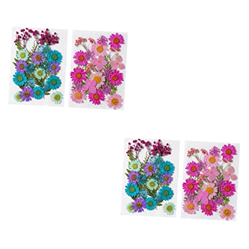 STOBOK 100 Pçs Pacote De Material De Flores Secas Acessórios De Tecnologia Para Unhas Decoração De M