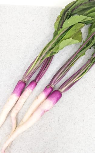 xW^un[g ؂ 6܁i13`4{j _͔| Ȗ؎Y