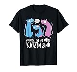 Katzen Zuhause Katze Haustier Tier Kätzchen