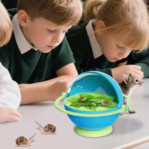 Boîte d'élevage ver à soie contre l'humidité pour éclosion