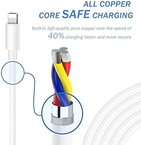 Image of 20W Fast Wall Charger and C Cable for iPhone 11, 11 Pro, 13 Mini 13pro 13 pro Max12 12 Pro 12mini 12 Pro Max Type C Lightening Cable with Warranty