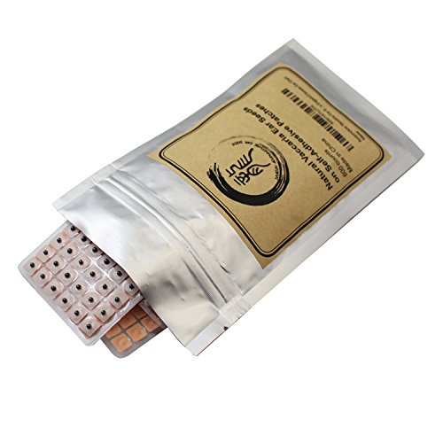 Multi-Condition Ear Seeds Acupuncture Kit 600 Counts, Ebook Placement Chart, Probe, Acupressure Ear Chart, Tweezers #TOP4