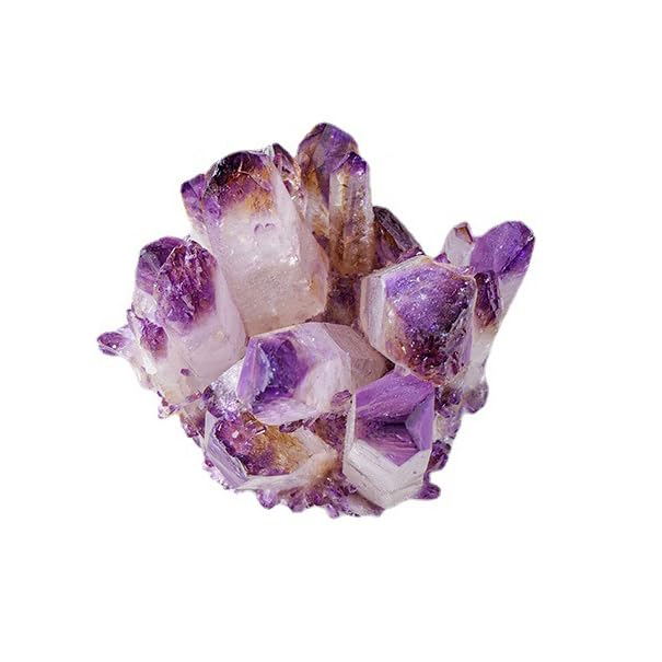 Géode d'améthyste pour salon | Amas de quartz druzy naturel de 600g pour décoration